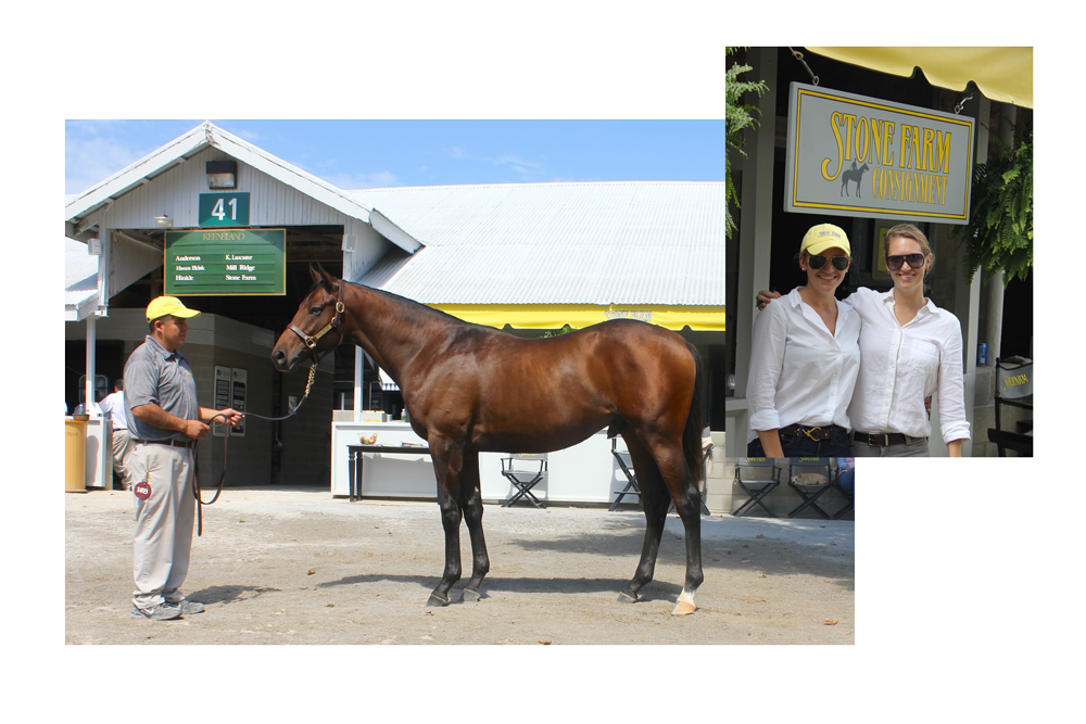 Keeneland Sales Results January 2024 India Kary Ellette